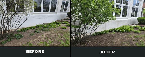 Masonry Restoration before and after 8